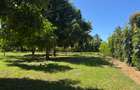 Land in Mtwapa - 20