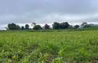 3.7 ac Land at Kiambu - 2