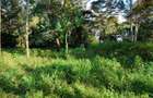 0.5 ac Land in Karen Hardy - 5