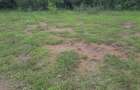 1.5 ac Land in Karen - 1