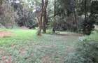 4 ac Land at Mushroom Gardens - 10