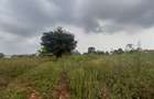 3.1 ac Land in Runda - 1