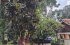 0.87 ac Land at James Gichuru Rd - 16