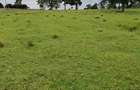 21 ac Land at Kiambu Road - 1