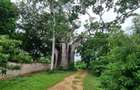 Land in Vipingo - 7