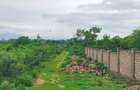 Land in Vipingo - 2