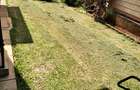 5 Bed Townhouse with En Suite in Lavington - 18
