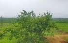 21 ac Land at Mavueni Mariakani Northern By - Pass Road - 13
