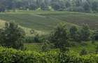 2 ac Land at Off Tigoni - Kabuku Rd - 5