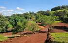 506 m² Land at Near Citam - 3