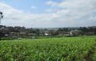 Land at Ngong Town - 11