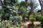 2 Bed House with En Suite in Runda - 6