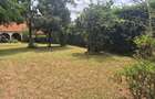 3 Bed House with En Suite in Loresho - 10