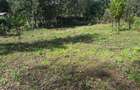 0.25 ac Residential Land in Ngong - 15