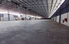 30,000 ft² Warehouse with Parking in Ruiru - 4