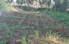 2.5 ac Land at Village (Mbiriri Muthaiga) - 8