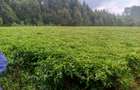 1 ac Land at Riara Ridge - 5