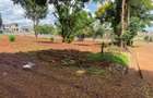 Residential Land in Tatu City - 5