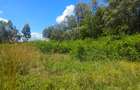 607 ac Land at Makuyu - 6