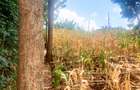 0.25 ac Commercial Land at Muthiga - 3