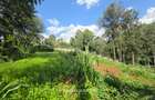 2.3 ac Land in Kitisuru - 1