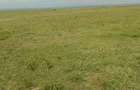 Residential Land in Nanyuki - 11