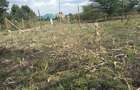 0.113 ac Land in Ngong - 5