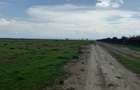 0.045 ha Residential Land at Ol Pejeta - 3