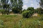 0.5 ac Land in Karen - 6