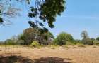 75 ac Land at Vipingo - 3