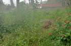 0.5 ac Land in Kitisuru - 2