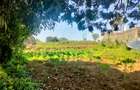 0.5 ac Land in Tigoni - 3
