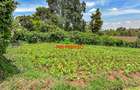 0.05 ha Commercial Land in Kikuyu Town - 5