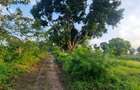 7 ac Land at Mtwapa - 15