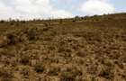 5.5 ac Land at Mai Mahiu - 4