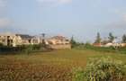 0.25 ac Land at Gikambura - 13