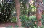 Residential Land at Lavington - 3