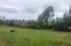 6 ac Land in Tigoni - 8