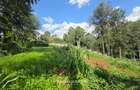 2.3 ac Land in Kitisuru - 3