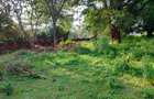 Residential Land at Karen - 10