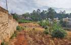 1 ac Land in Kitisuru - 4