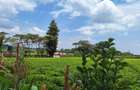 1 ac Residential Land at Tigoni - 2