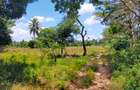 Land in Mtwapa - 19