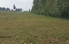 0.5 ac Residential Land in Tigoni - 2