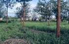 1 m² Land at Kiganjo Road - 2