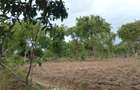 3 ac Residential Land in Kikambala - 4