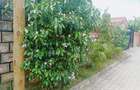 3 Bed Apartment with En Suite in Nyali Area - 18