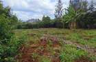 0.25 ac Residential Land at River Side Drive - 7