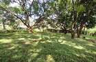 4 Bed House with Staff Quarters at Old Runda - 10
