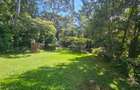 4 Bed House with En Suite in Nyari - 7